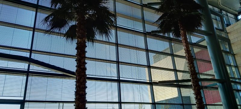 Al Ain Hospital, Al Ain